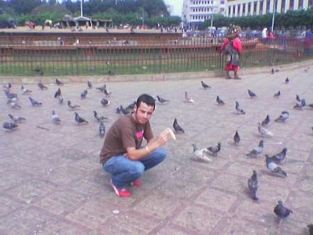 aucun pigeon ne voulu venir manger.......................